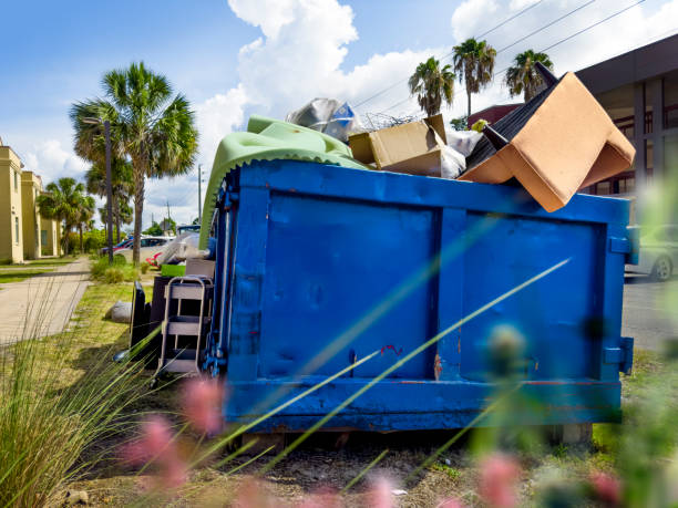 Yard Cleanup Services in Notre Dame, IN